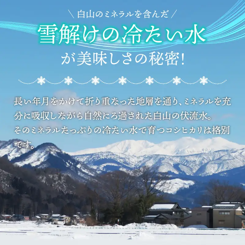 【先行予約】白山の恵み 令和8年度産 コシヒカリ玄米（10kg）※2026年10月上旬以降順次発送予定 [A-009012]