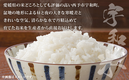 ＜令和7年産 松本農園直送 宇和米（コシヒカリ）約3kg＞ こしひかり 米 コメ こめ 白米 精米 うわまい ウワマイ ご飯 新鮮 3キロ お弁当 朝 昼 夜 国産 特産品 愛媛県 西予市【常温】『2025年9月下旬～12月下旬迄に順次出荷予定』UMT0001