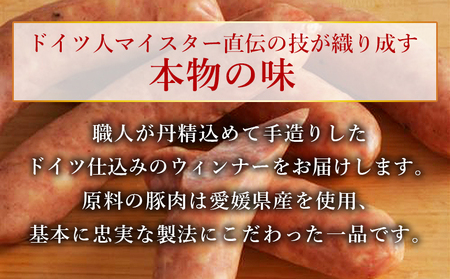 ＜城川自然牧場 ウィンナーセット6種 合計32本＞粗挽きウインナー ペッパーウインナー ジャンボフランクフルト あら挽ミニウインナー 旨辛チョリソー 贈答 詰め合わせ 城川ファクトリー 愛媛県 西予市【冷蔵】『1か月以内に順次出荷予定』SSF0001