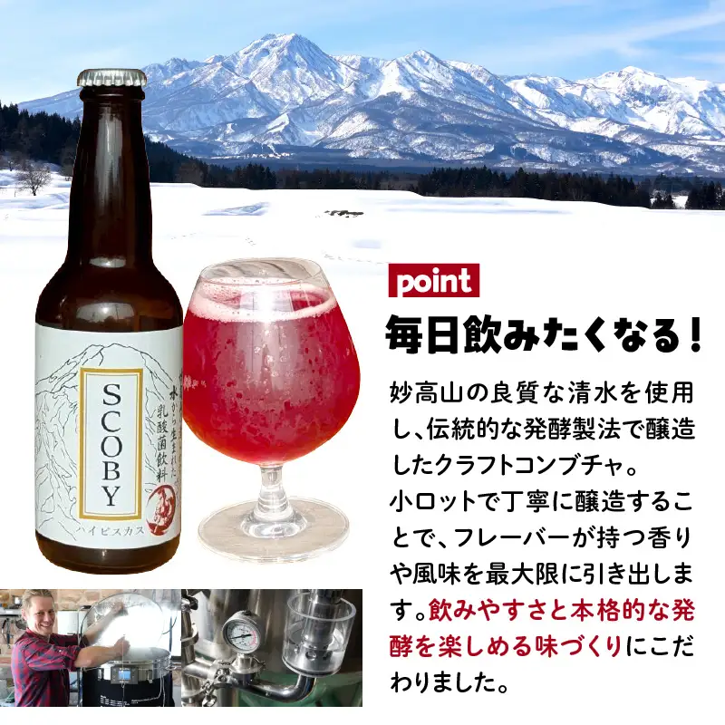 コンブチャ ハイビスカス味