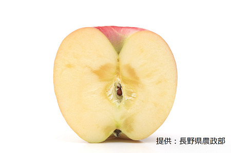 【11月中旬発送予定】りんごの王様 ふじりんご 1箱(5kg) 003-001