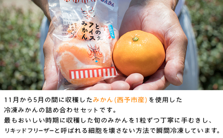 ＜冷凍みかん 詰め合わせ「いろせなセット」＞ 温州ミカン 蜜柑 ポンカン 不知火 ひめのつき せとか まどんな 果物 フルーツ 柑橘 おやつ 夏 冷たい デザート 食べて応援 特産品 渡江から一歩を踏み出す会 愛媛県 西予市【冷凍】『1か月以内に順次出荷予定』ATI0003