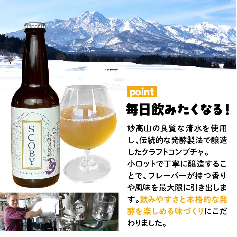 コンブチャ ワイルドジャスミン味