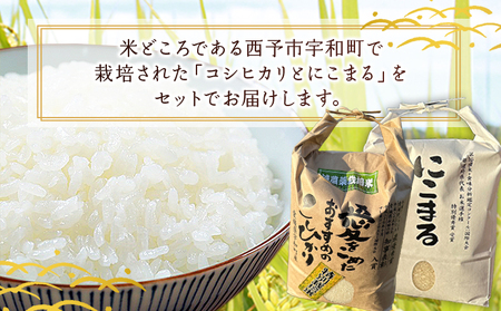＜令和7年産 西予市宇和町産 特別栽培米コシヒカリ・にこまる 食べ比べセット 合計4kg（各2kg）＞ お米 コメ 白米 精米 ご飯 ライス 穀物 こしひかり 晩稲 大粒 特産品 三好フク 愛媛県 西予市『1か月以内に順次出荷予定』 UMH0001