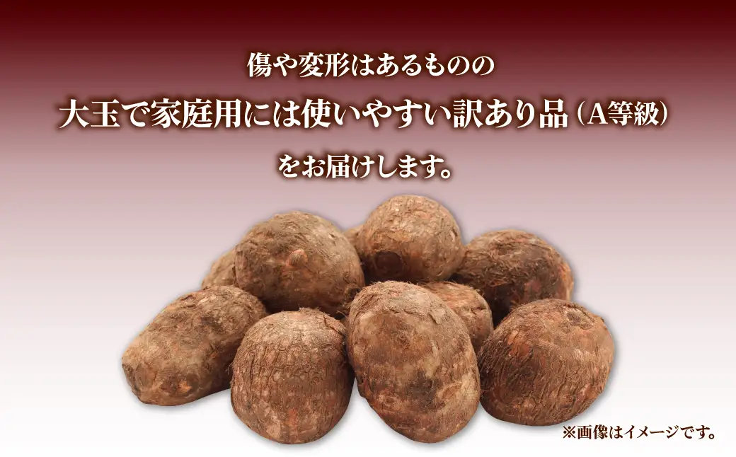 里芋 5キロ 訳あり 里芋