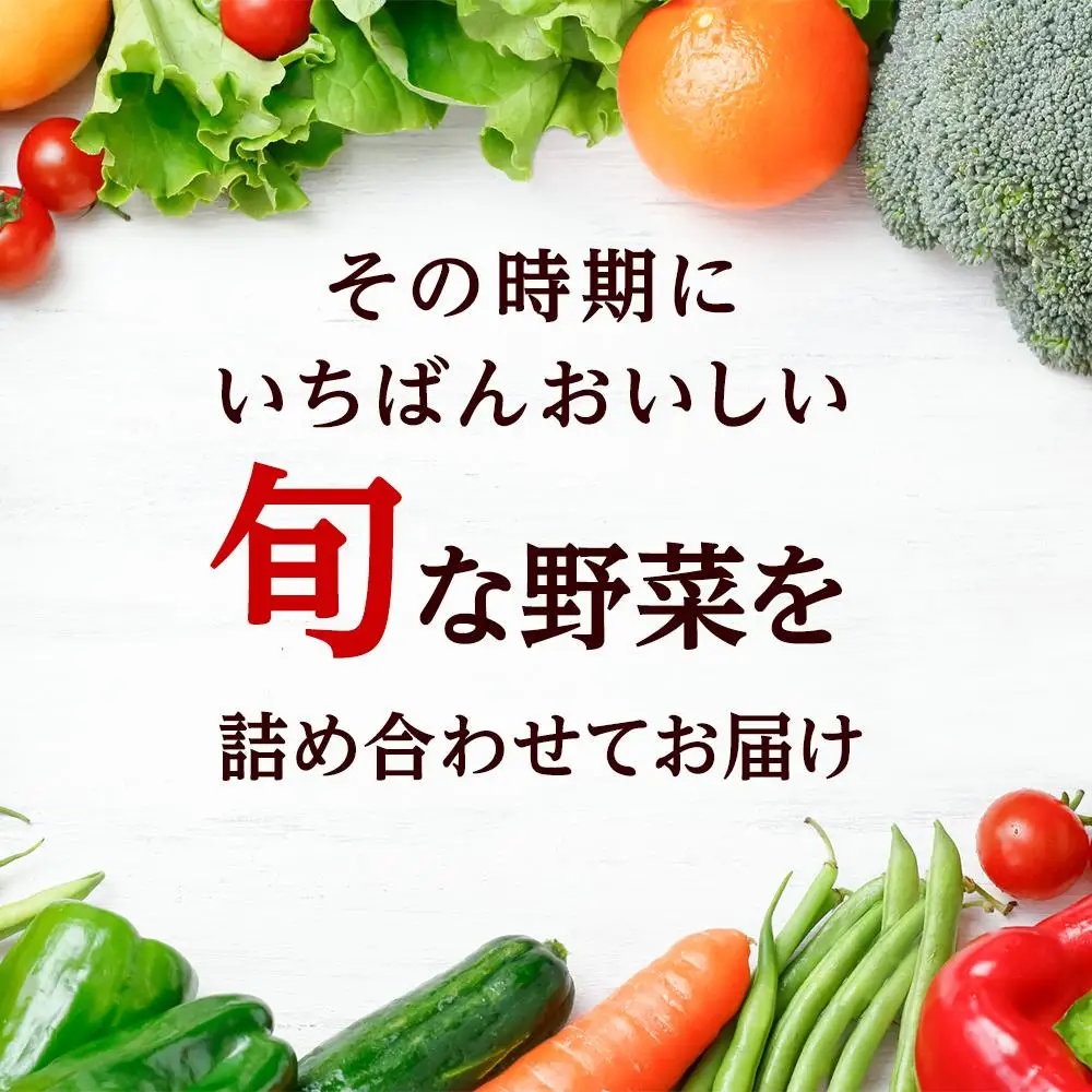 「ベジーズ館」の夏・冬野菜　年２回コース （7月と12月発送）｜【野菜定期便・野菜・定期便・冬野菜・夏野菜・野菜セット・旬の野菜・兵庫野菜・相生野菜・国産野菜・野菜詰め合わせ・冬野菜詰め合わせ・夏野菜詰め合わせ】