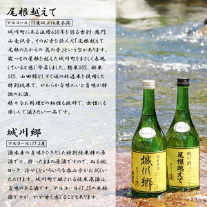 ＜日本酒 城川郷「尾根越えて」「純米原酒」飲み比べ セット 720ml×2本＞ お酒 さけ 特別純米酒 おねこえて ギフト 贈り物 贈答用 お祝い 御祝い 内祝い 家飲み 宅飲み 乾杯 特産品 中城本家酒造 愛媛県 西予市【常温】『1か月以内に順次出荷予定』SNH0001