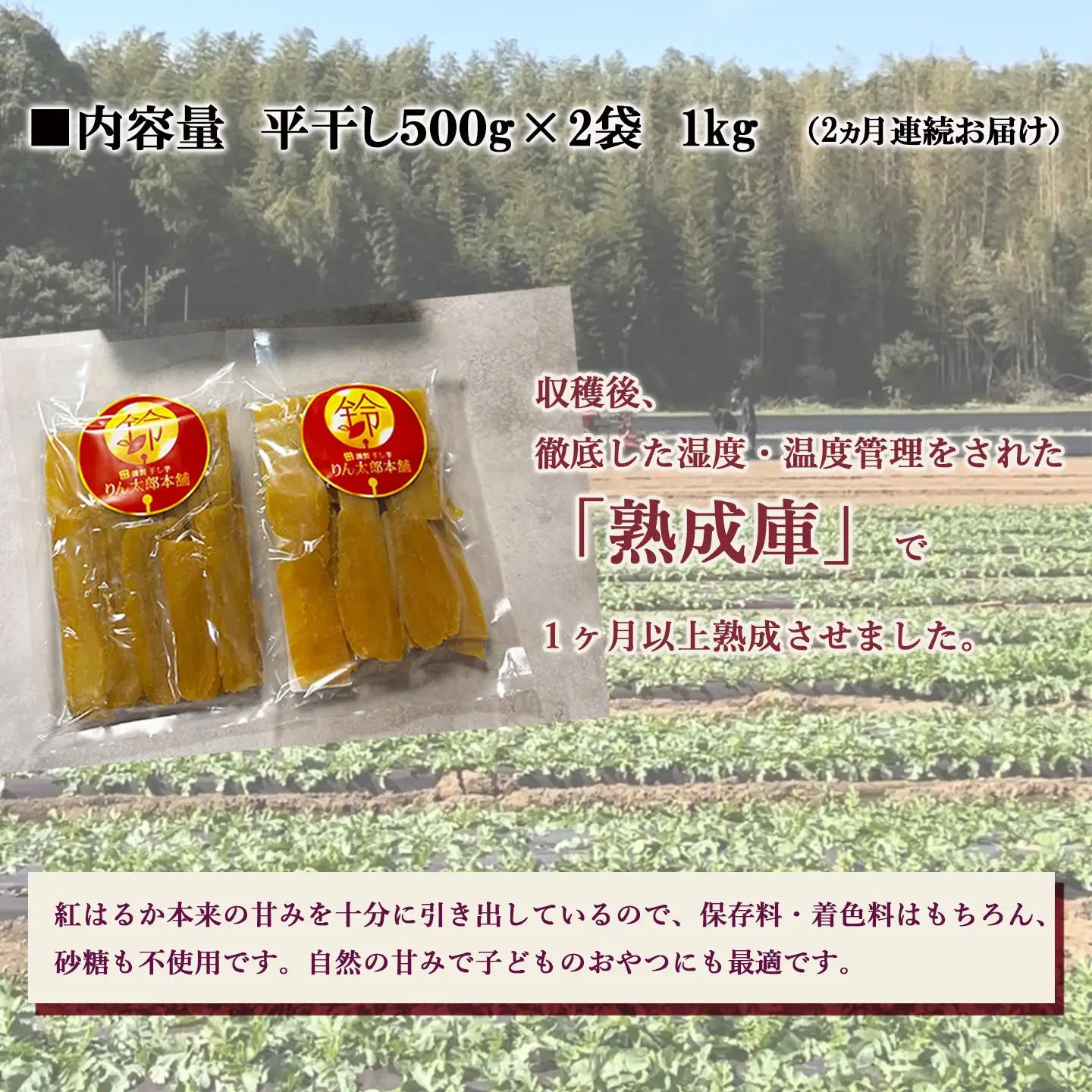 【先行予約】2回定期便 熟成紅はるか 干し芋 （平干し）500g×2袋 1kg 干芋 ほしいも