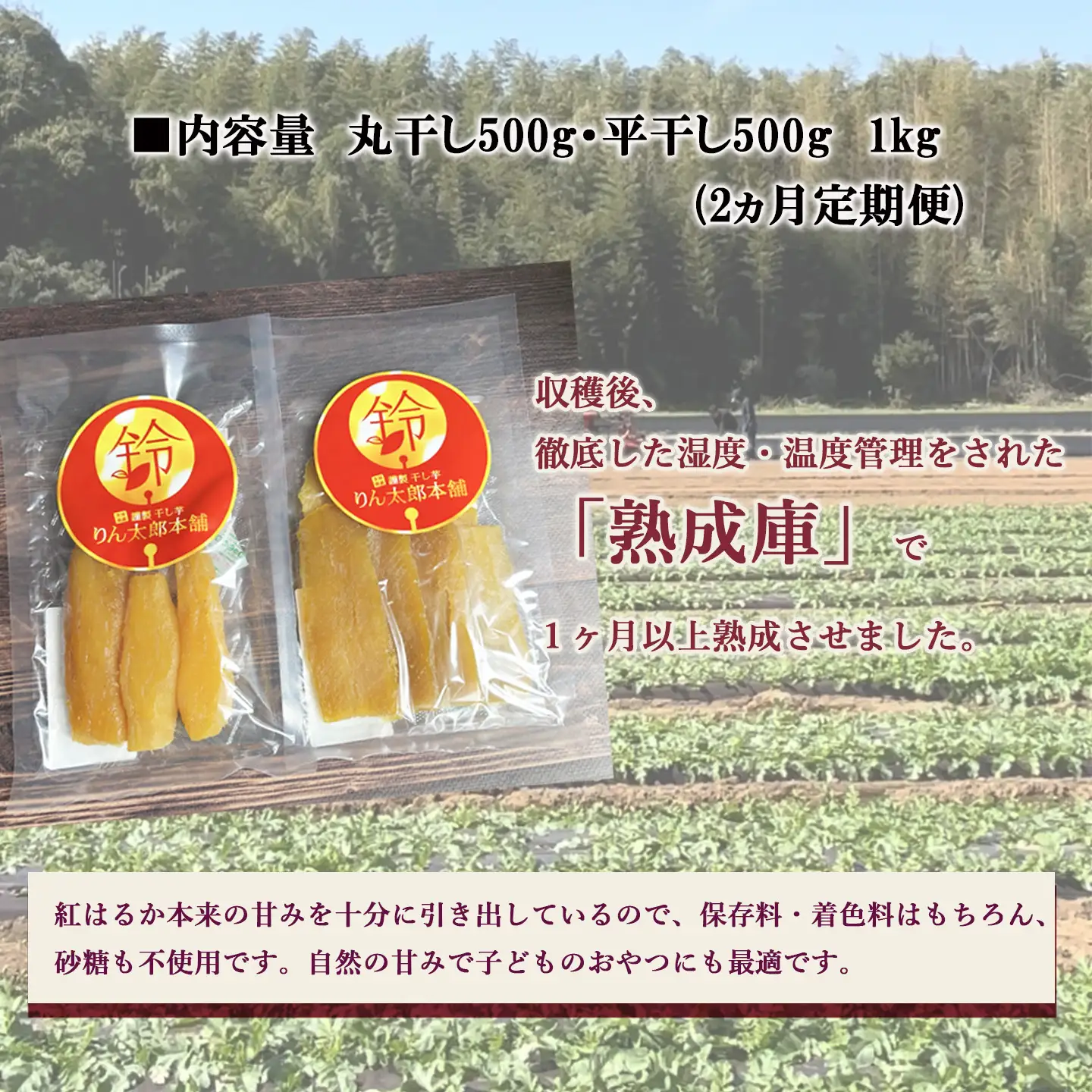 先行予約】2回定期便 熟成紅はるか 干し芋 （丸干し・平干し）500g×2袋