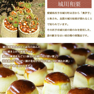 道の駅きはない屋「想い・想われ」栗菓子セット(12個入) SSF0003