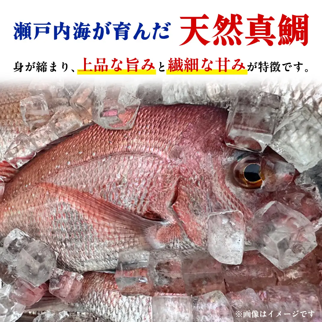 瀬戸内海産 小鯛のフィレ 3枚～5枚程度 ×10P (計30～50枚程度) 冷凍配送 [OK39_010]