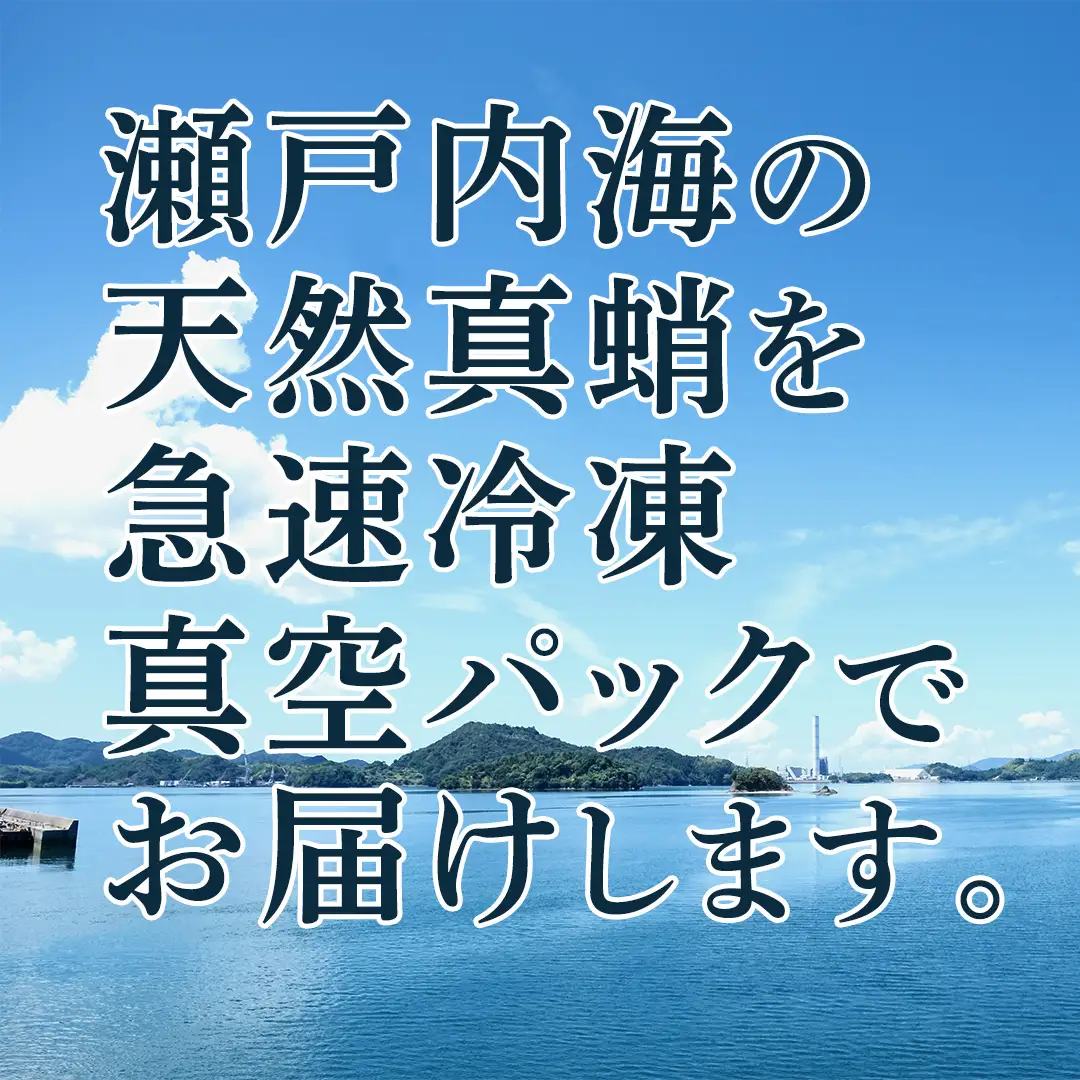瀬戸内海産 天然真蛸 1杯分 冷凍真空パック [OK39_007]