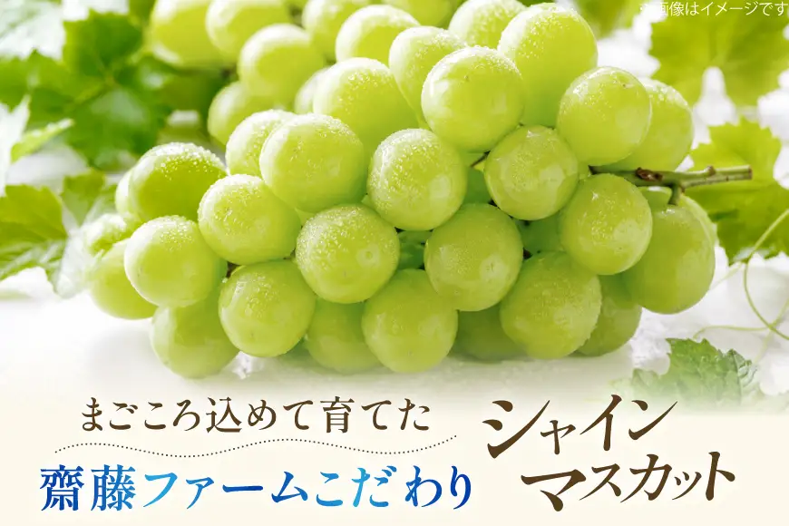 まさぷんぴ出品2 v1?ProductId=2052478&