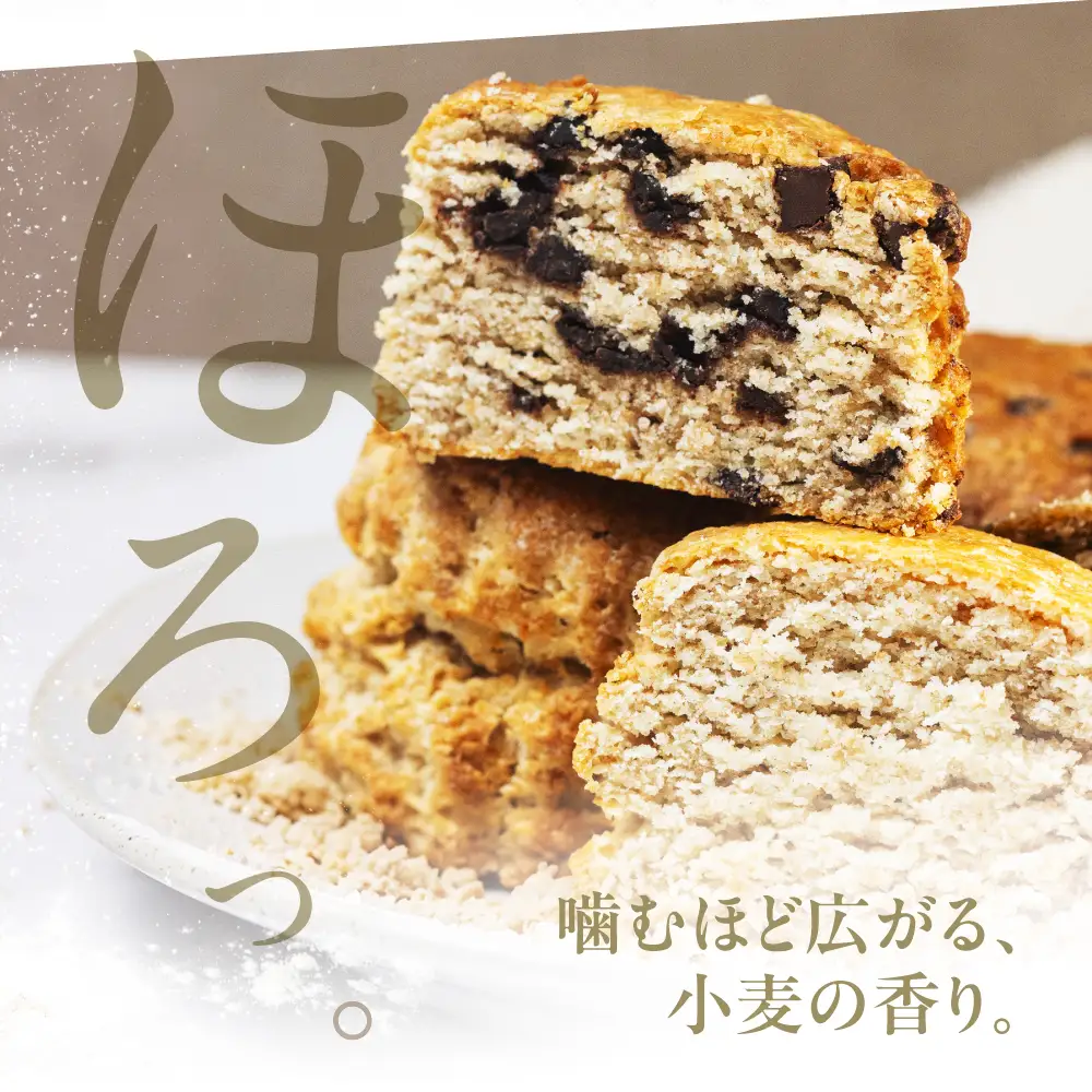 スコーン チョコチップ 6個｜スコーン