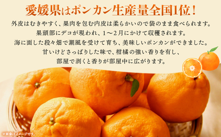 ＜愛媛明浜産 早生ぽんかん 約5kg 1月発送＞ 果物 フルーツ みかん ミカン 蜜柑 柑橘 ポンカン 早生 生産量全国1位 おいしい 特産品 渡江から一歩を踏み出す会 愛媛県 西予市 【常温】『2025年1月上旬～2月下旬迄に順次出荷予定』ATI0004
