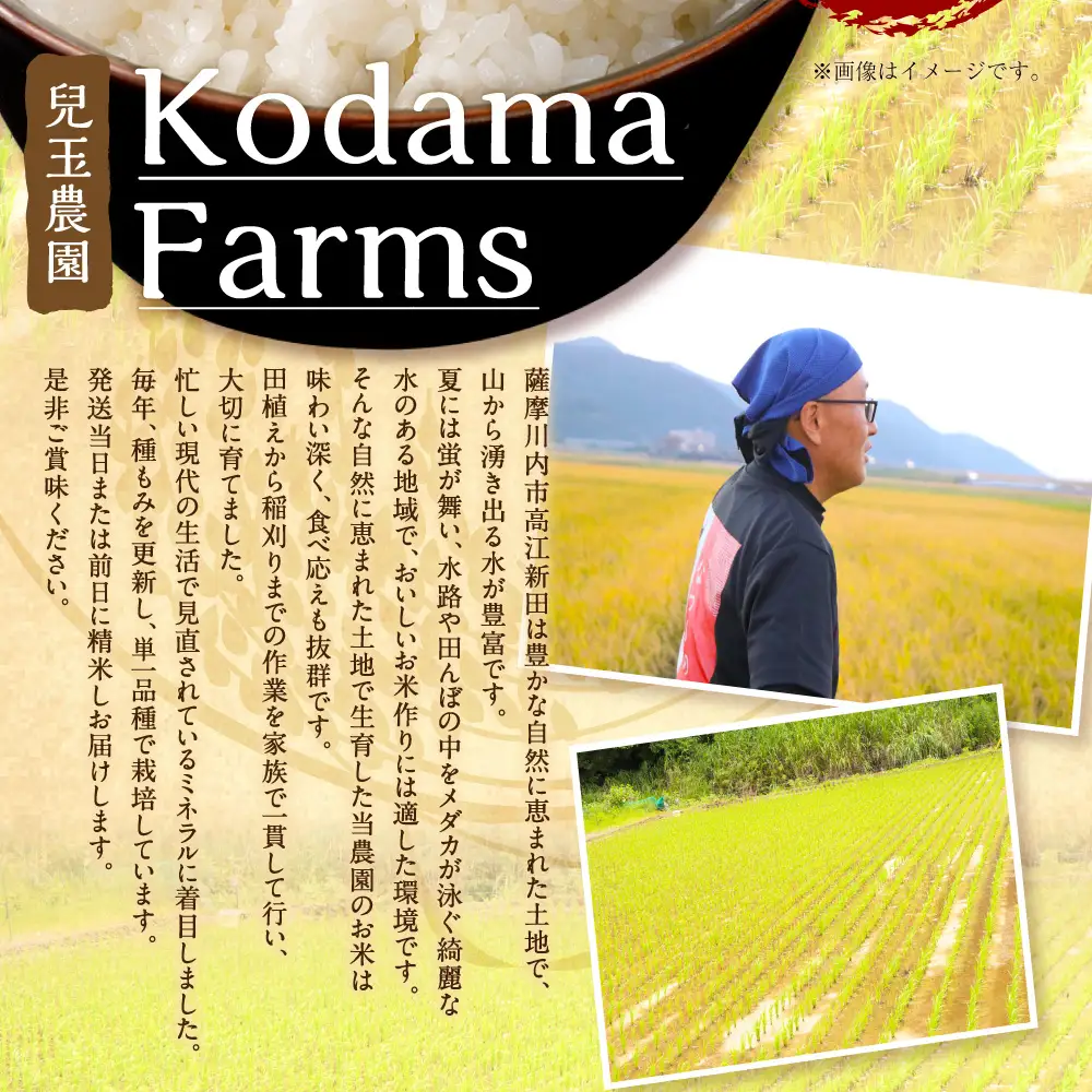 【先行予約】 令和8年米 【KODAMAFARMS】 あきの舞 10kg （5㎏×2袋） KODA米 白米 米 お米 おこめ 常温 【2026年10月上旬から順次発送予定】_ss2395