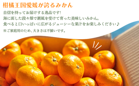 愛媛県明浜産 みかん（5kg） ATI0017