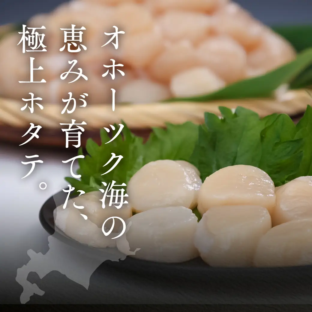 12月発送　オホーツク海産ホタテ貝柱1kg(小粒)