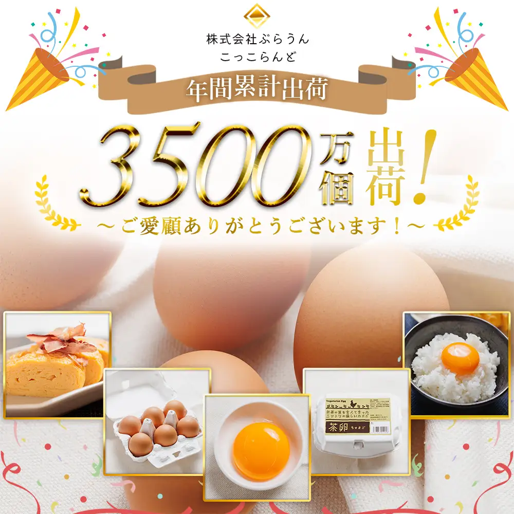 たまご コロンブスの茶卵 10個入×6P 卵が苦手な子どもも食べられた！ kl-0005