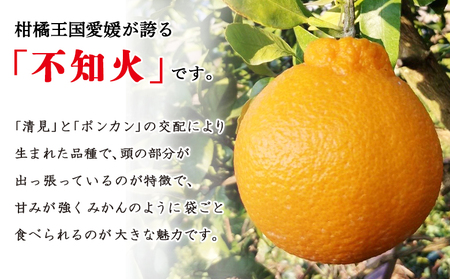 愛媛県明浜産 不知火（3kg） ATI0008