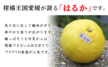 ＜愛媛西予市産 はるか 家庭用 約4kg＞ 柑橘 果物 フルーツ ミカン みかん オレンジ 特産品 渡江から一歩を踏み出す会 食べて応援 特産品 愛媛県 西予市 【常温】『2026年1月下旬～4月上旬迄に順次出荷予定』ATI0012