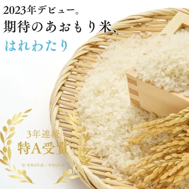 米 白米【令和8年産 新米】はれわたり 10kg 白米
