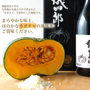 JAひがしうわ 南瓜（かぼちゃ）焼酎「儀四郎」 UHU0002