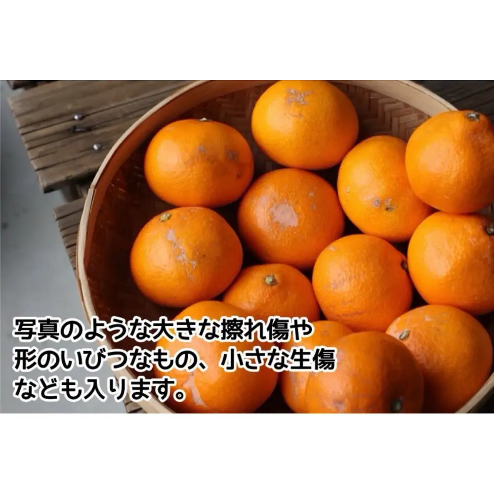 有田みかん ご家庭用 5kg S～2Lサイズ混合