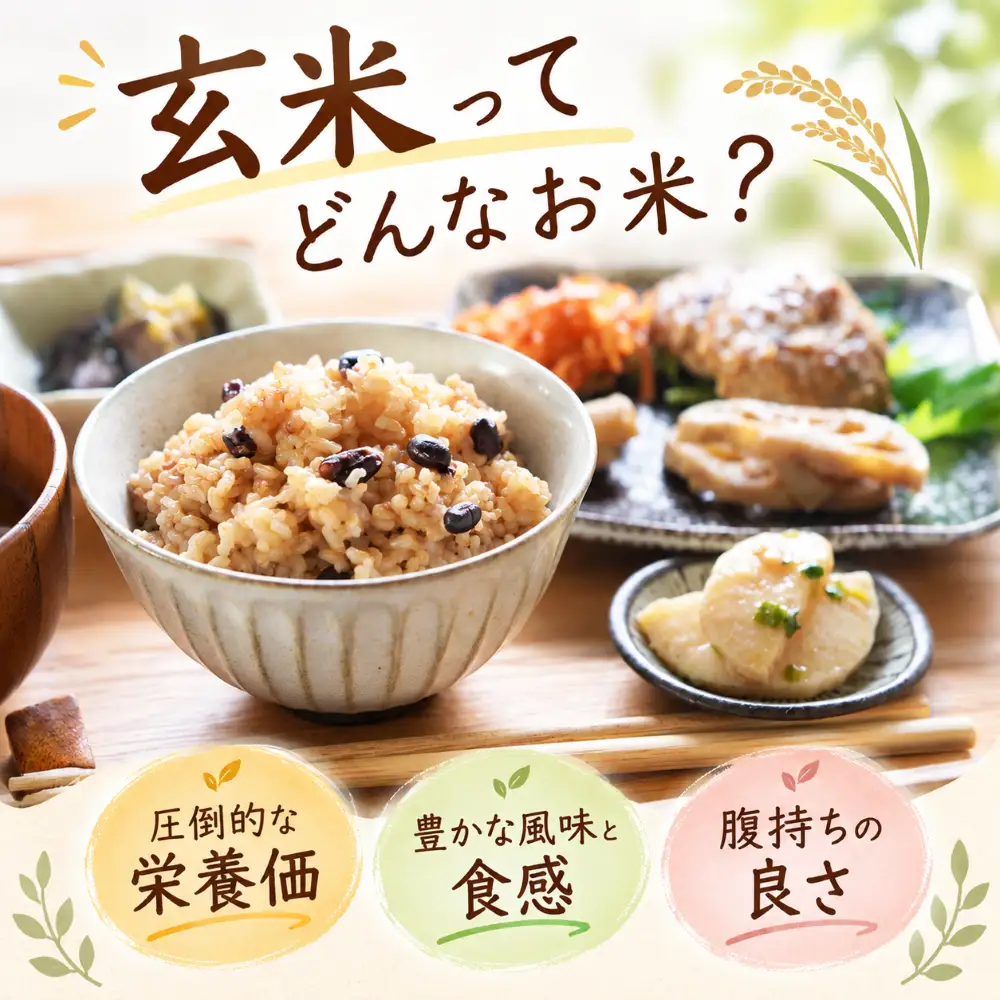 先行受付 令和8年産 にこまる玄米 20kg 5kg×4回 定期便 【にこまる