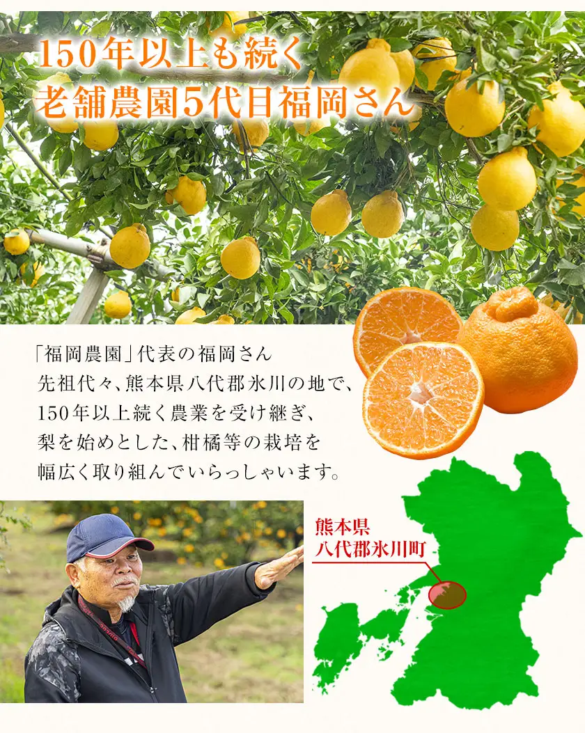 不知火 福岡農園 不知火 3.5kg 贈答用
