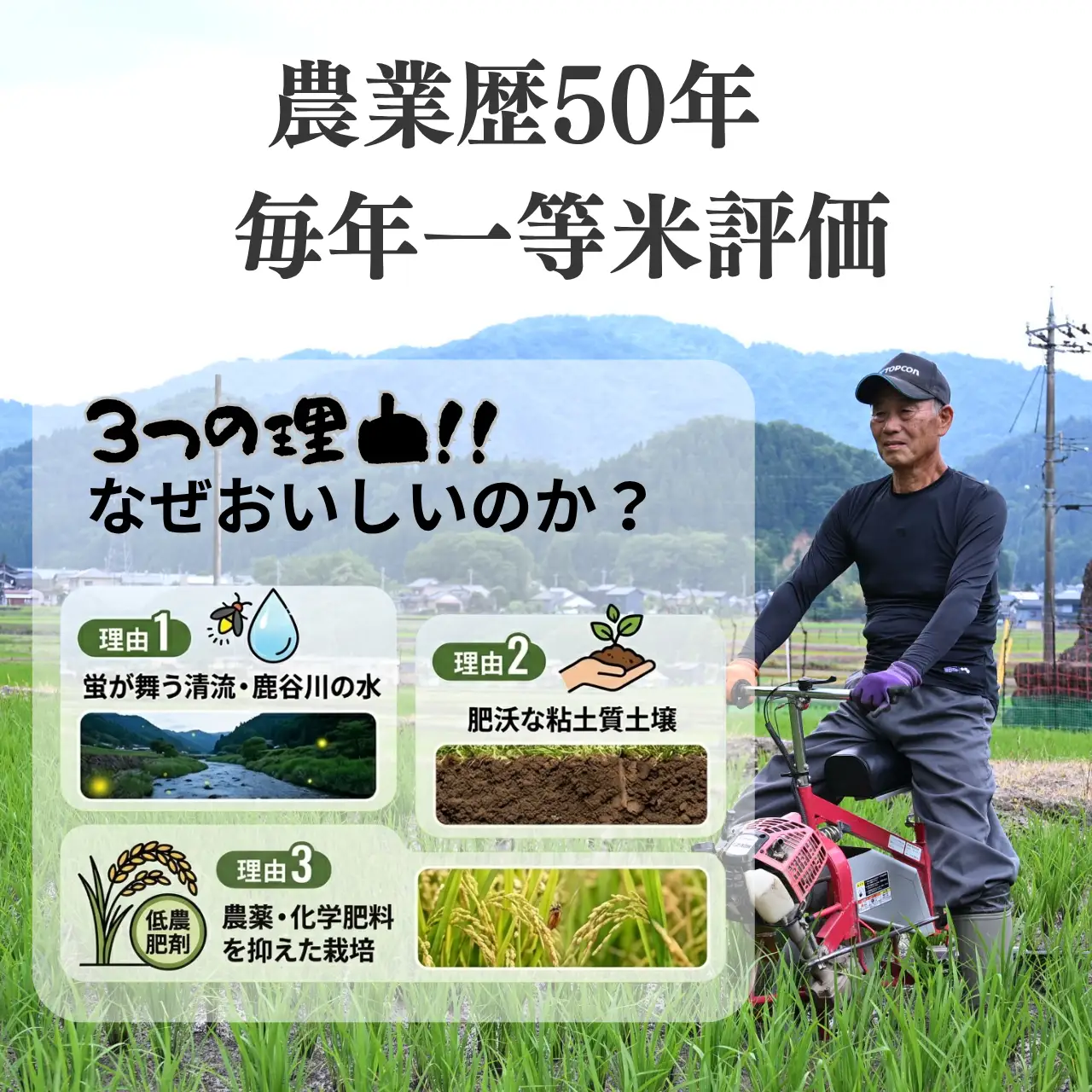米 コシヒカリ 精米 5kg 令和8年産 先行予約 [A-104002]