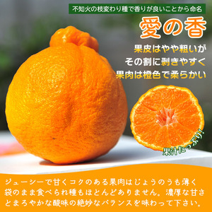 先行予約＜不知火「愛の香」M～Lサイズ 約12～14玉＞ しらぬい みかん 甘い おいしい フルーツ 果物 柑橘 のし対応可 お祝い 御祝 内祝い ギフト 贈答 贈り物 南予園芸 特産品 食べて応援 愛媛県 西予市【常温】『2025年2月下旬～3月下旬迄に順次出荷予定』UNE0004
