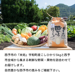 せいよ旬の野菜・果物・宇和米5kg詰合せセット UDB0002