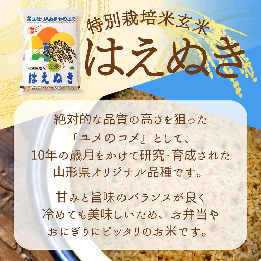 【令和8年産】特別栽培米 玄米 はえぬき 2kg 2kg×1袋 庄内町産 余目産 ブランド米 米 山形 庄内平野 甘み 粘り バランスの良い ごはん