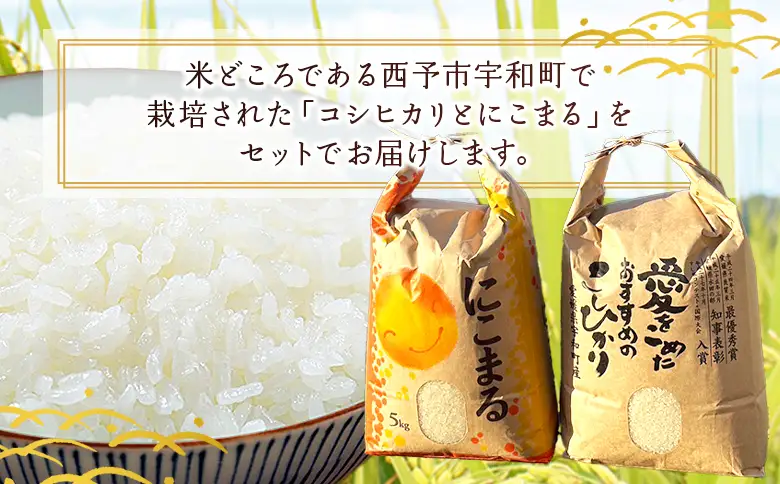 ＜令和7年産 西予市宇和町産 コシヒカリ・にこまる 食べ比べセット 合計10kg（各5kg）＞ お米 コメ 白米 精米 ご飯 ライス 穀物 こしひかり 晩稲 大粒 特産品 三好フク 愛媛県 西予市 『1か月以内に順次出荷予定』 UMH0004