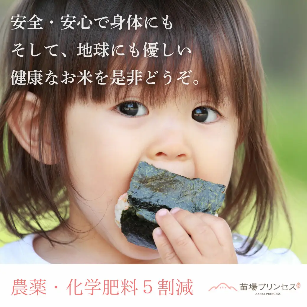 【令和8年産】【12ヶ月定期便】【農薬化学肥料5割減】魚沼産にじのきらめき苗場プリンセス特別栽培米 精米20kg(5kg×4)計240kg | 津南町 にじのきらめき