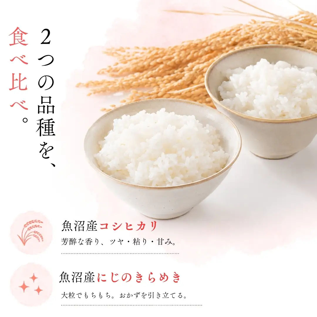 【令和8年産】【有機JAS認証米】食べ比べ4kgセット・魚沼産コシヒカリ精米2kg・魚沼産にじのきらめき精米2kg| 津南町 にじのきらめき