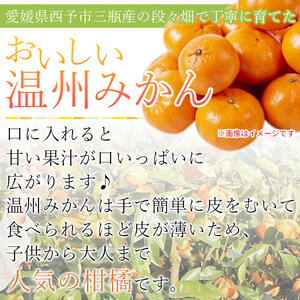 山徳農園「温州みかん」10kg（数量限定） MYT0002