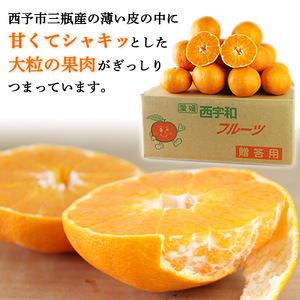 山徳農園甘平 MYT0004