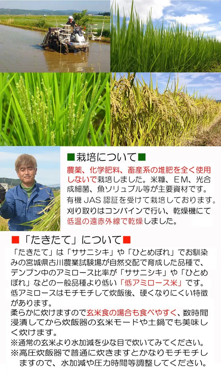 ≪先行予約受付中！≫＜6ヶ月定期便＞【2026年産】たきたて 有機玄米 計30kg(5kg×6回) 低アミロース米 有機JAS認証 米 こめ コメ ご飯 ごはんおにぎり お弁当 宮城米 うるち米 【有機農園ファーミン株式会社】tm837