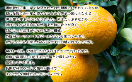 先行予約 ＜無茶々園の伊予柑 約7kg＞ 果物 いよかん イヨカン みかん ミカン 蜜柑 柑橘 フルーツ 選べる内容量 期間限定 季節限定 特産品 愛媛県 西予市【常温】『2027年1月中旬～2月中旬に順次出荷予定』AMC0019