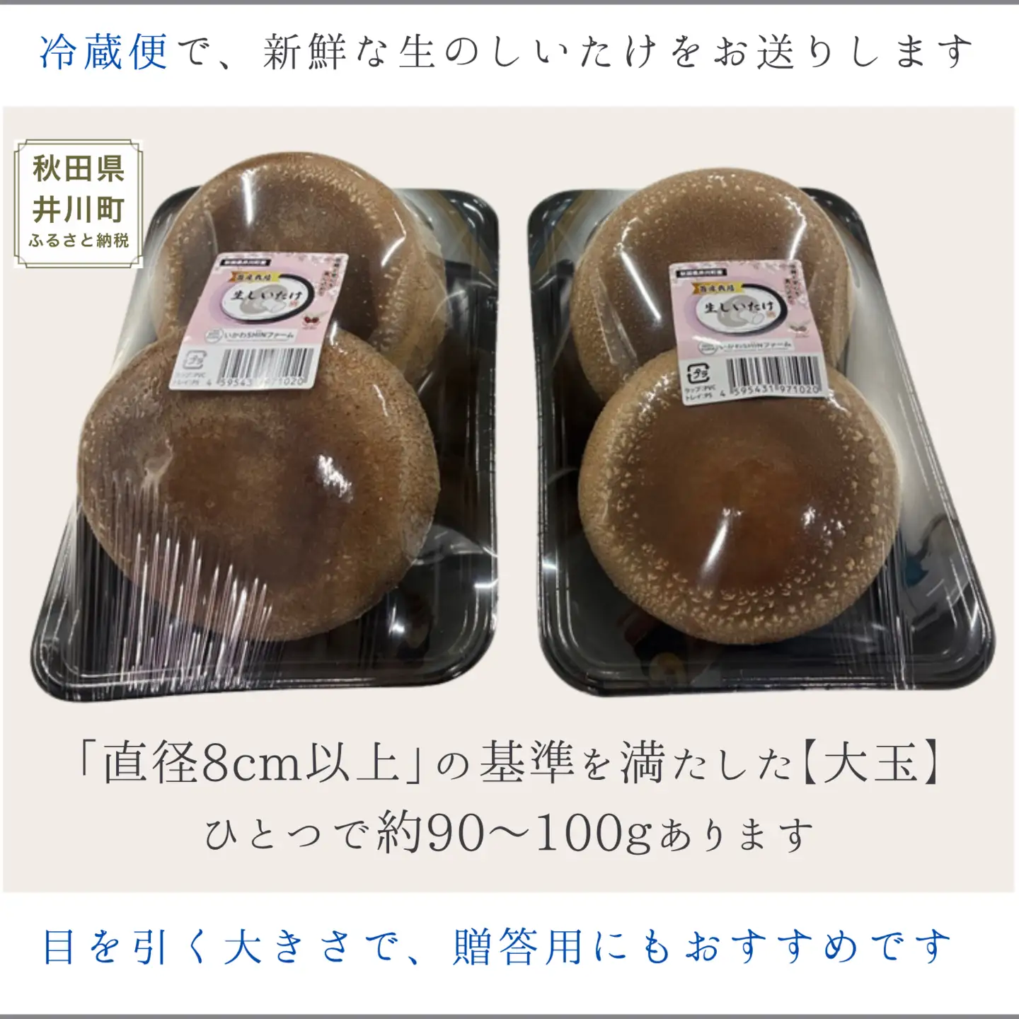 生しいたけ 厳選大玉 4個  菌床 しいたけ シイタケ 高級
