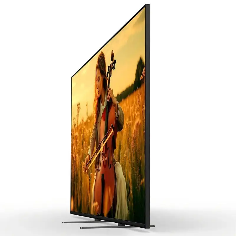 【厚木市ふるさと納税限定セット】 ソニー 4K 液晶テレビ BRAVIA5 55型 （設置あり）・ デジタル 一眼カメラ α7C II ラック ズームレンズキット 【9月末掲載終了】 テレビ てれび TV カメラ デジタルカメラ 一眼レフ デジカメ 一眼 SONY 神奈川県 厚木市 atsugi_9 