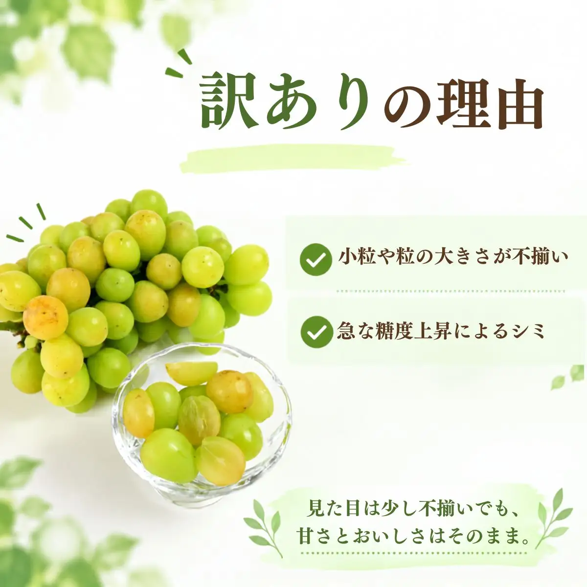 【農家直送（収穫日に発送）】訳アリ シャインマスカット 2kg (2~4房)　訳あり