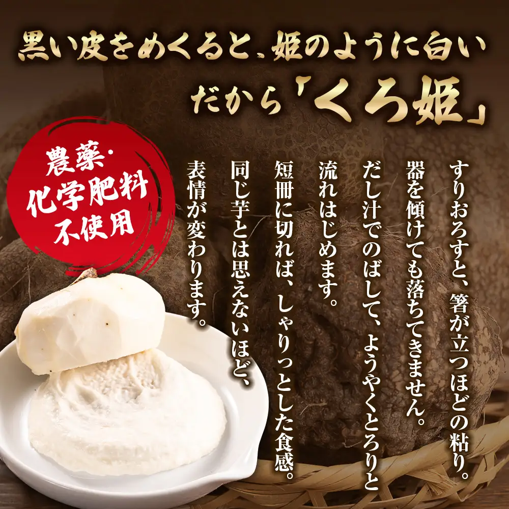 【予約受付】 すり下ろすとわかる粘りと白さ！四万十の山の芋・くろ姫　贈答用3キロ／Org-09 山芋 とろろ 長いも 野菜