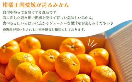 愛媛県明浜産 みかん（宝）５kg ATI0025