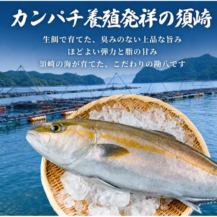 カンパチ 勘八 かんぱち カット ロイン ６００g 冷蔵 産地直送 高知県 須崎市 須崎勘八 刺身 さしみ 刺身用 お刺身 柵 かんぱちブロック 切り身 海鮮 海鮮丼 漬け丼 カンパチしゃぶ 