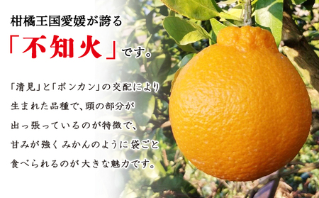 愛媛県明浜産 不知火【完熟】（4.0kg） ATI0023