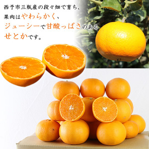 山徳農園 西宇和産せとか 5kg MYT0005
