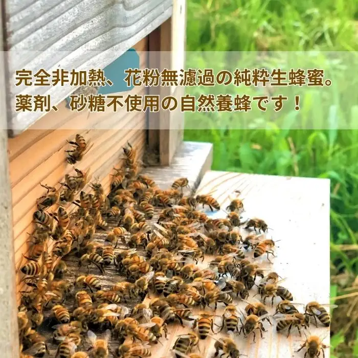 信州さらしな 自然養蜂！純粋生蜂蜜3種 季節の詰め合わせセット｜はちみつ